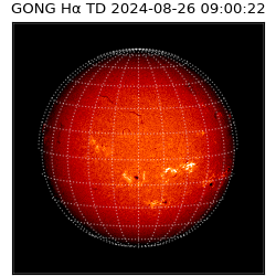 gong - 2024-08-26T09:00:22