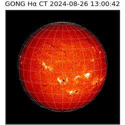 gong - 2024-08-26T13:00:42