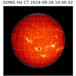 gong - 2024-08-26T14:00:42