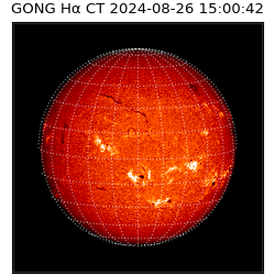 gong - 2024-08-26T15:00:42