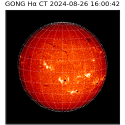 gong - 2024-08-26T16:00:42