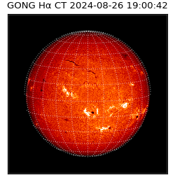 gong - 2024-08-26T19:00:42