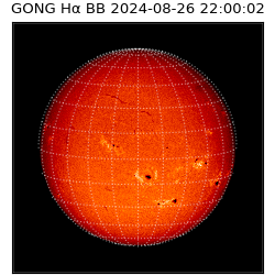 gong - 2024-08-26T22:00:02