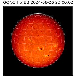 gong - 2024-08-26T23:00:02