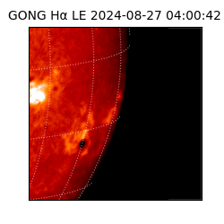 gong - 2024-08-27T04:00:42
