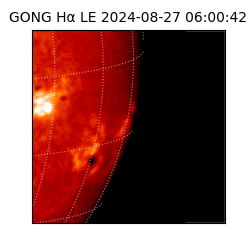 gong - 2024-08-27T06:00:42