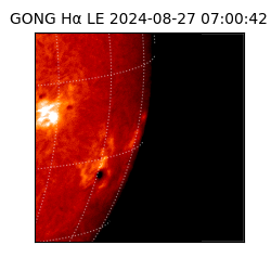 gong - 2024-08-27T07:00:42