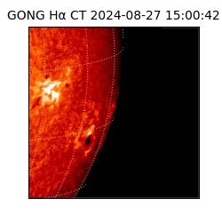 gong - 2024-08-27T15:00:42