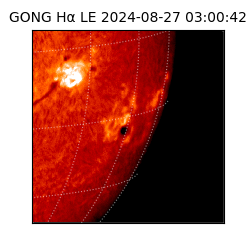 gong - 2024-08-27T03:00:42