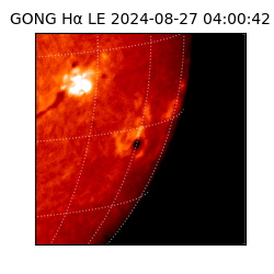 gong - 2024-08-27T04:00:42