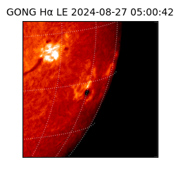 gong - 2024-08-27T05:00:42