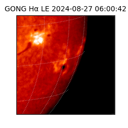 gong - 2024-08-27T06:00:42