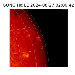 gong - 2024-08-27T02:00:42