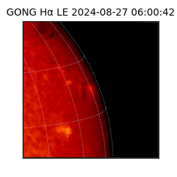 gong - 2024-08-27T06:00:42