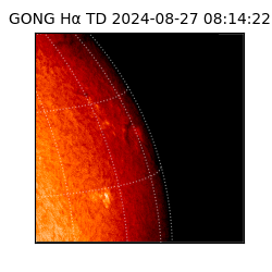 gong - 2024-08-27T08:14:22