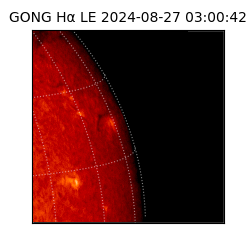 gong - 2024-08-27T03:00:42