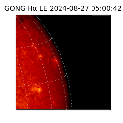 gong - 2024-08-27T05:00:42