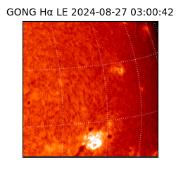 gong - 2024-08-27T03:00:42