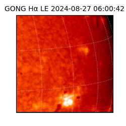 gong - 2024-08-27T06:00:42