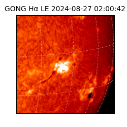 gong - 2024-08-27T02:00:42