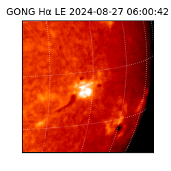 gong - 2024-08-27T06:00:42