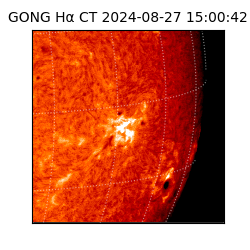 gong - 2024-08-27T15:00:42