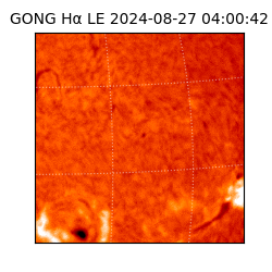 gong - 2024-08-27T04:00:42