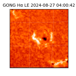 gong - 2024-08-27T04:00:42