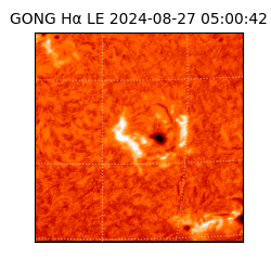 gong - 2024-08-27T05:00:42