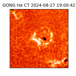 gong - 2024-08-27T19:00:42