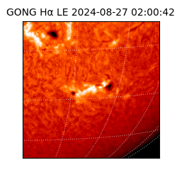 gong - 2024-08-27T02:00:42