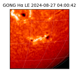 gong - 2024-08-27T04:00:42