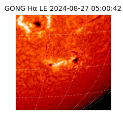 gong - 2024-08-27T05:00:42