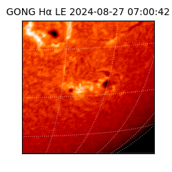 gong - 2024-08-27T07:00:42