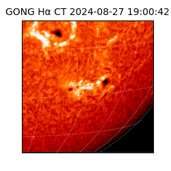 gong - 2024-08-27T19:00:42