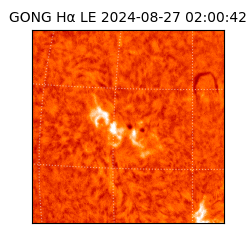 gong - 2024-08-27T02:00:42