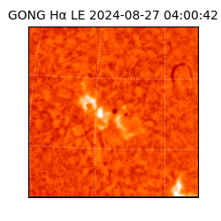 gong - 2024-08-27T04:00:42