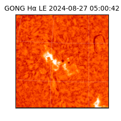 gong - 2024-08-27T05:00:42