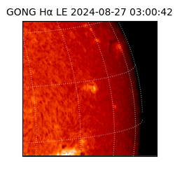 gong - 2024-08-27T03:00:42