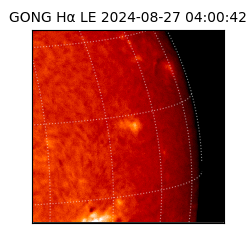 gong - 2024-08-27T04:00:42