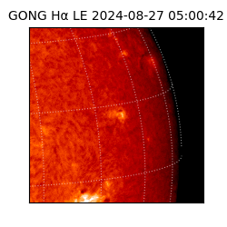 gong - 2024-08-27T05:00:42