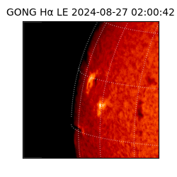 gong - 2024-08-27T02:00:42