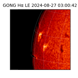 gong - 2024-08-27T03:00:42