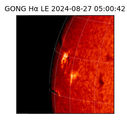 gong - 2024-08-27T05:00:42
