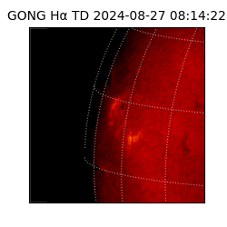 gong - 2024-08-27T08:14:22
