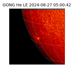 gong - 2024-08-27T05:00:42