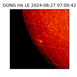 gong - 2024-08-27T07:00:42