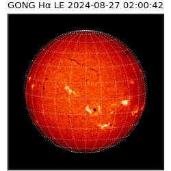 gong - 2024-08-27T02:00:42