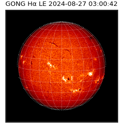 gong - 2024-08-27T03:00:42