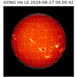 gong - 2024-08-27T04:00:42